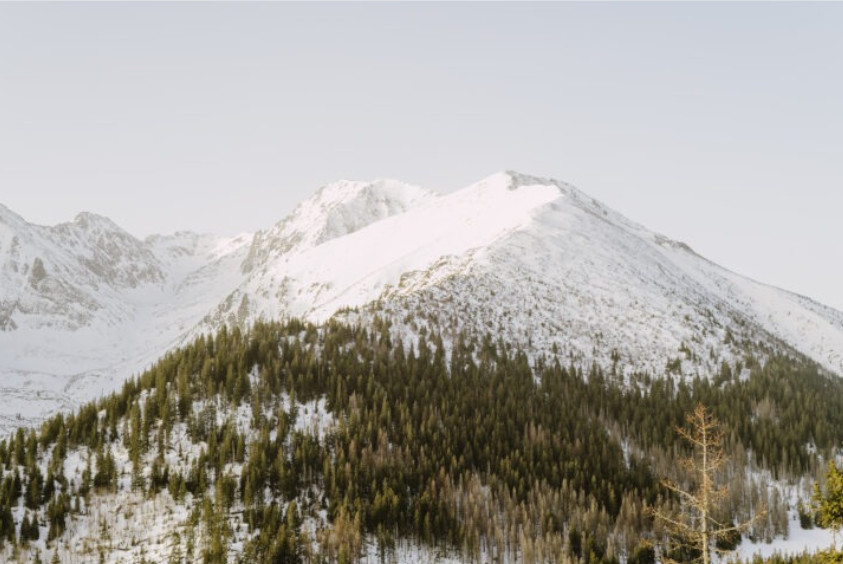 Az Irix Edge Soft Gradual lapszűrő lehetővé teszi a kép természetes tónusának elérését szabálytalan horizontú jelenetek, például erdők és hegyvidéki területek, valamint városi jelenetek fényképezésekor.